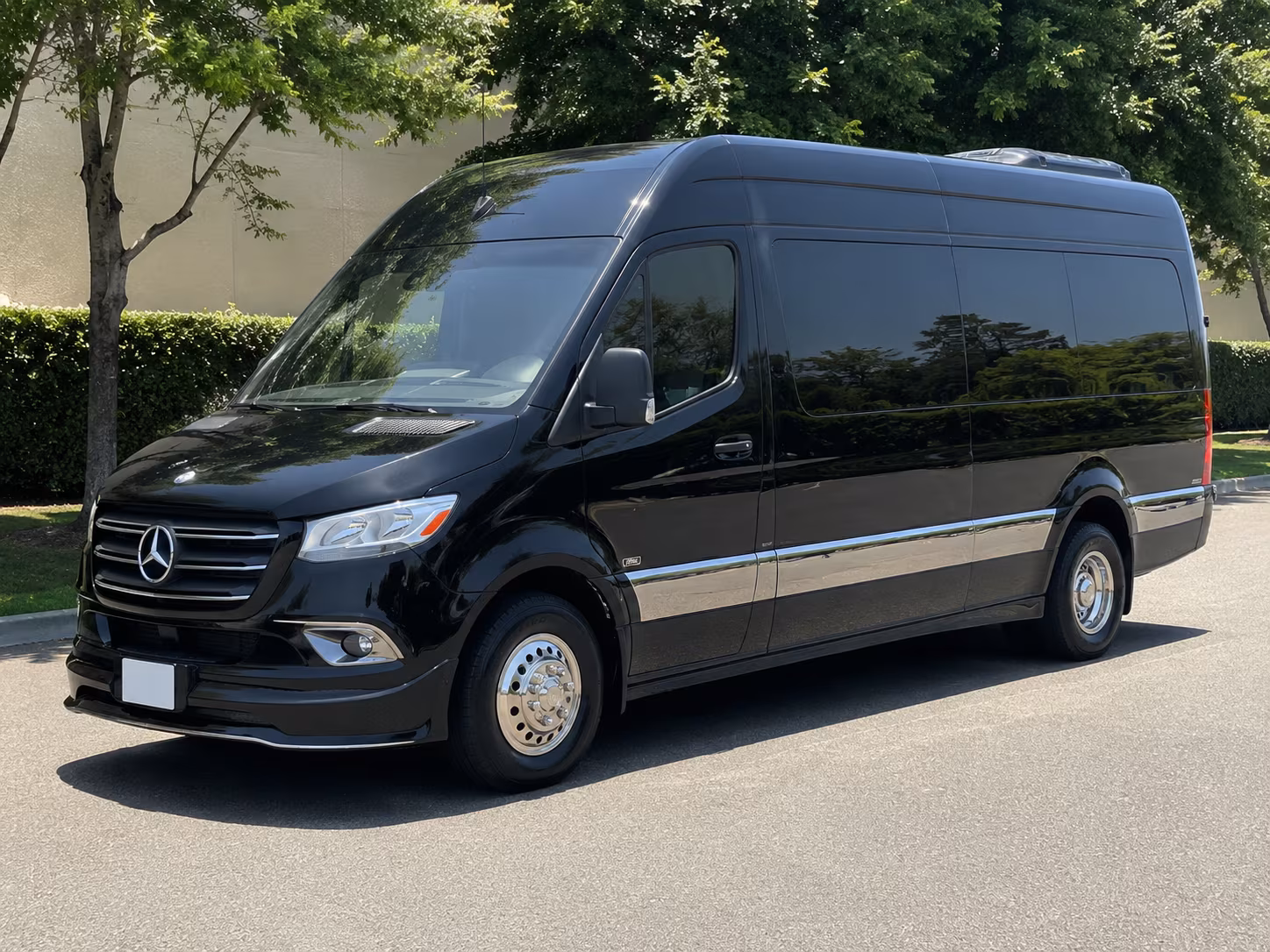 beaumont 10 passenger sprinter van