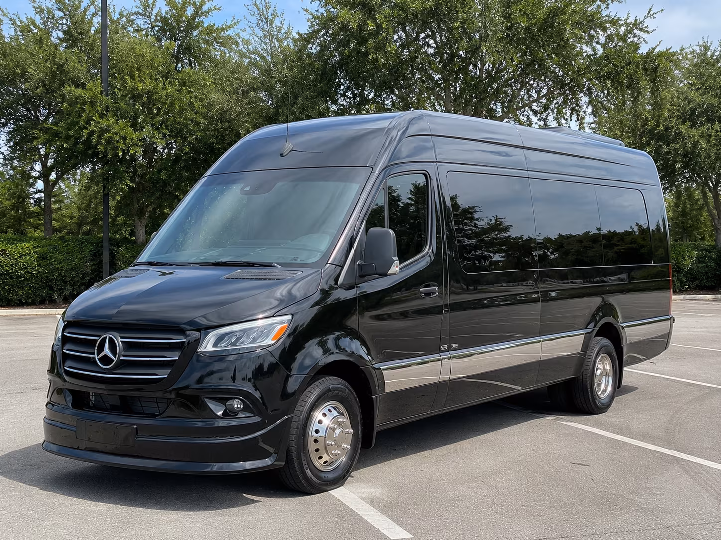 beaumont 12 passenger sprinter van