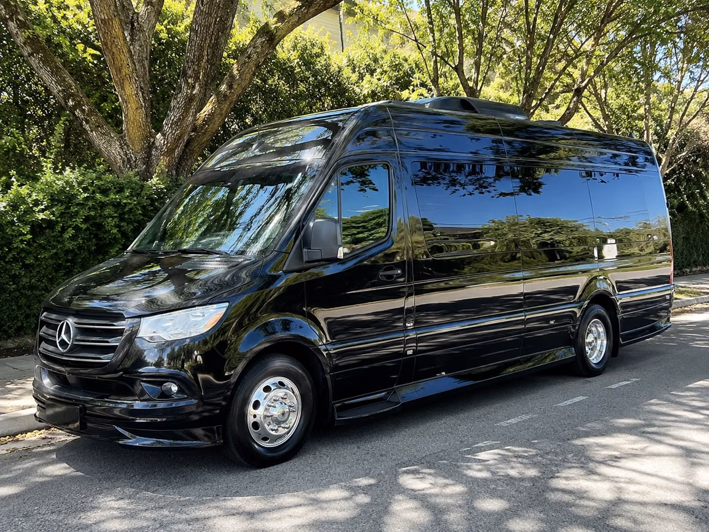beaumont 15 passenger sprinter van