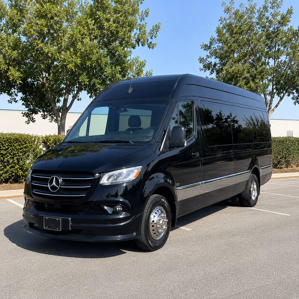 beaumont wedding sprinter van rental